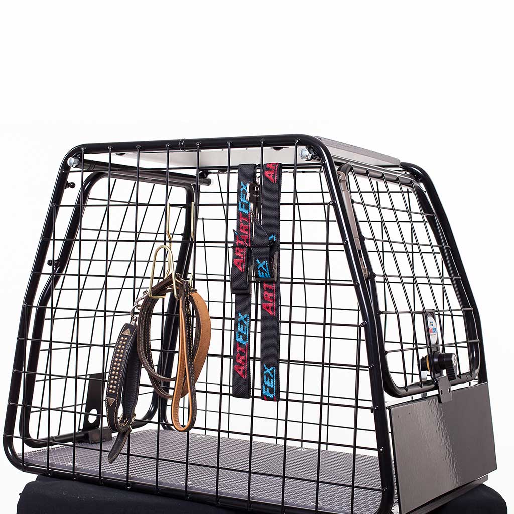 Small-LT-1024x1024